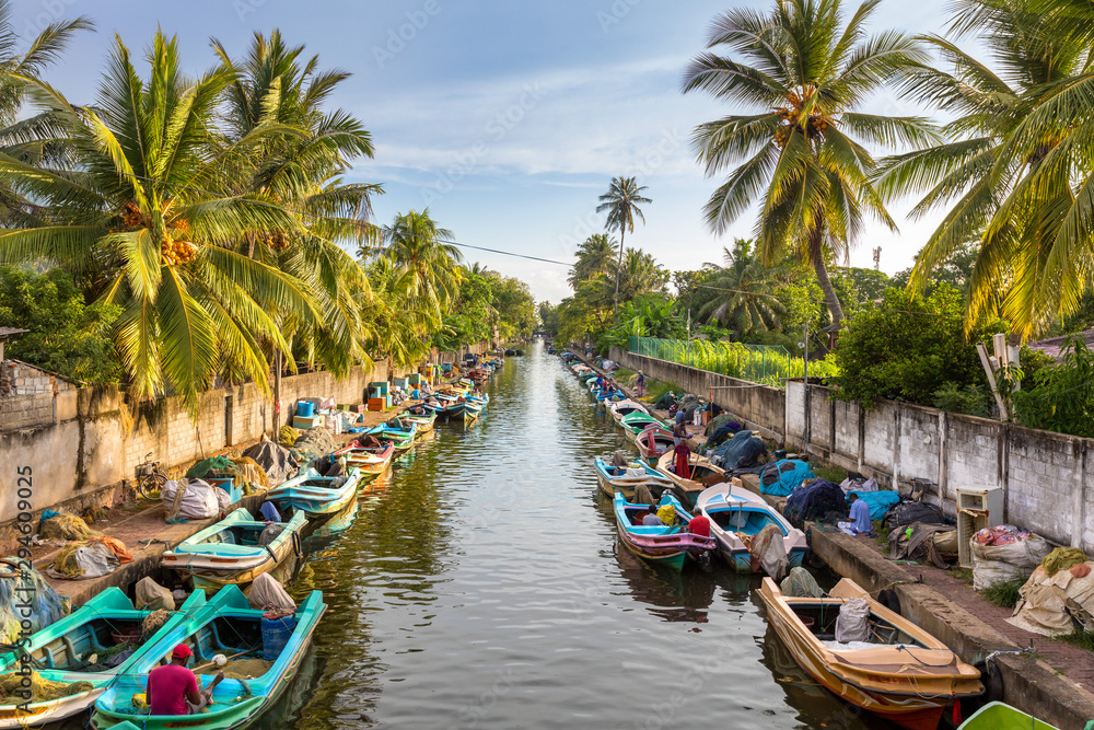 The colorful boats are docked along the banks of Hamilton's Canal in fishing village district of Negombo, Sri Lanka. - obrazy, fototapety, plakaty 