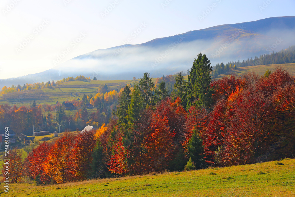 Autumn scene in mountains