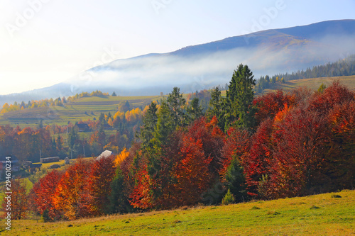 Autumn scene in mountains