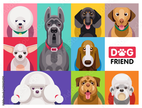 Multi-colored collection of dog faces of different breeds in one set. Illustration of funny cartoon dogs in trendy flat style. 