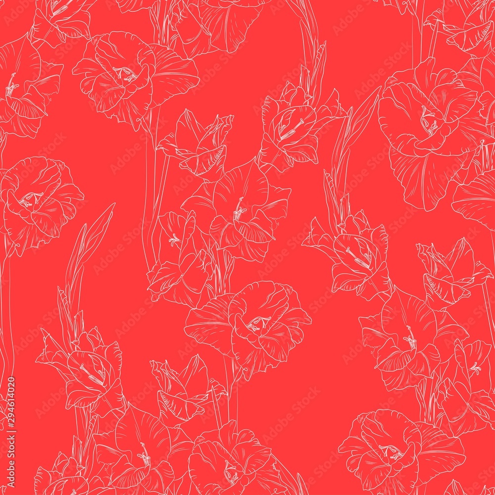 Fototapeta premium Floral seamless pattern with white line gladiolus on red background. Flower print.