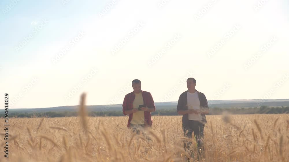 teamwork smart farming slow motion video. two farmers lifestyle work in wheat field. farmers explore are studying. man with digital tablet Wheat Field summer in the field wheat bread. slow motion teamwork smart farming slow motion video. two farmers lifestyle work in wheat field. farmers explore are studying. man with digital tablet Wheat Field summer in the field wheat bread. slow motion