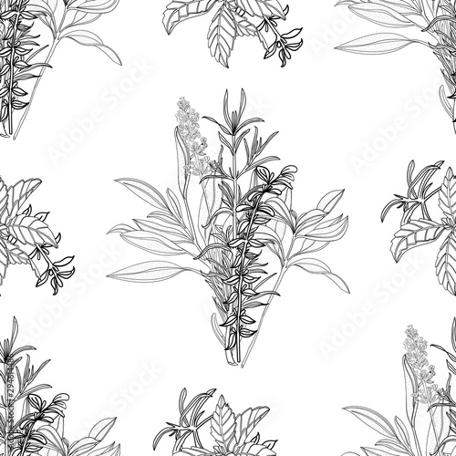 rosemary basil sage lavender seamless pattern
