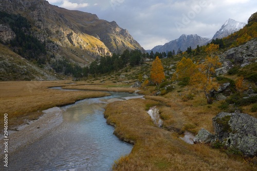 Morning in autumn