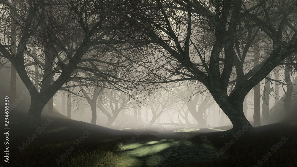 Trail into dark mysterious forest with last sun rays shining through ...