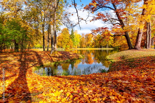 Alexander park in autumn, Pushkin (Tsarskoe Selo), St. Petersburg, Russia