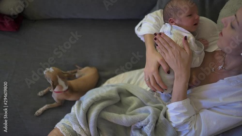 Mother breastfeeding her newborn child with chihuahua dog