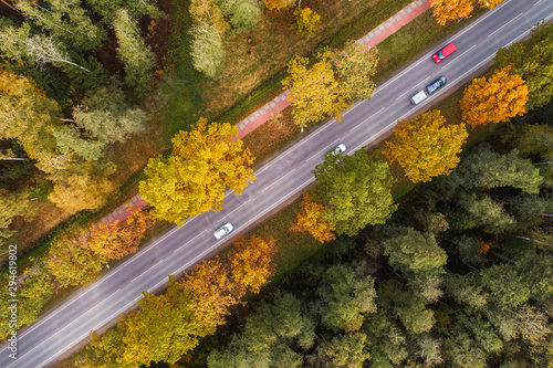 Aerial view of thick forest in autumn with road cutting through in Jelgava region , Latvia
