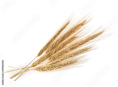 Ears of rye isolated on a white