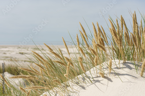 Dünenlandschaft an der Nordsee