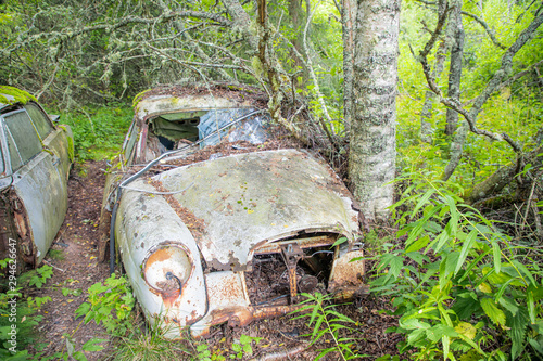 Nostalgie auf dem Autofriedhof in Bastnäs, Schweden © MorePictures