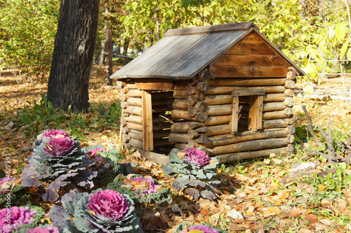 The hut on chicken legs, the dwelling of Baba-Yaga in Russian fairy tales photo