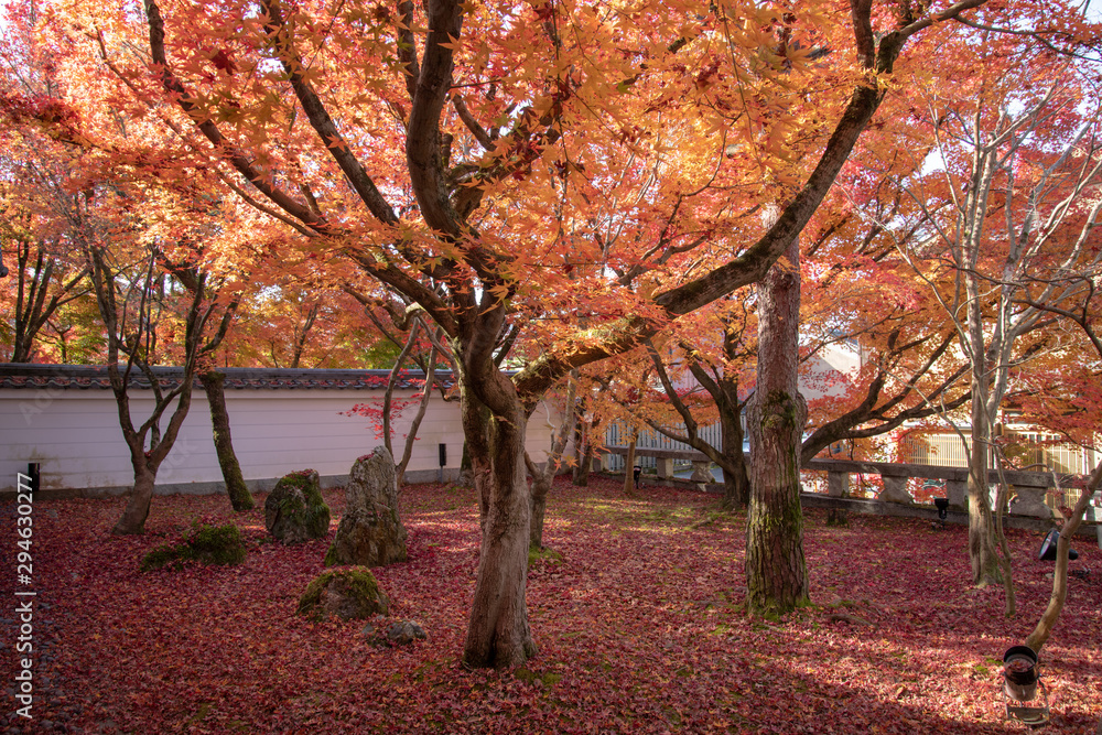 Naklejka premium 永観堂