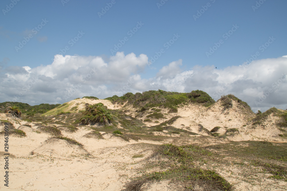 Naklejka premium Sand dunes
