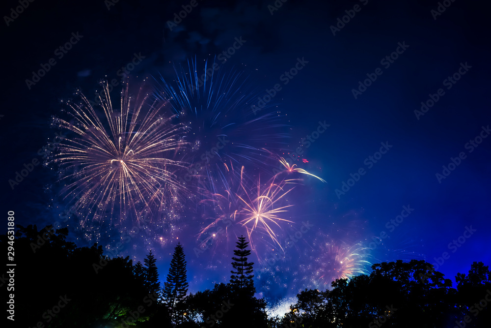 Beautiful holiday fireworks show