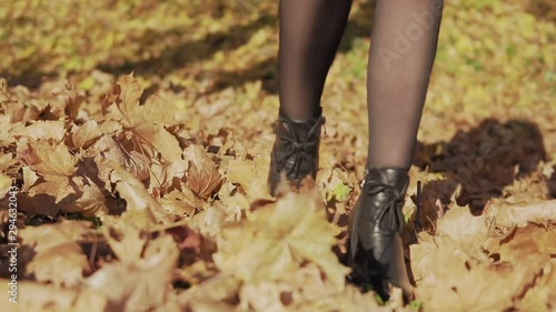 Wallpaper Mural Girl walking and kicking fall leaves. Focus on legs. Golden autumn. Woman kicking yellow leaves. Torontodigital.ca
