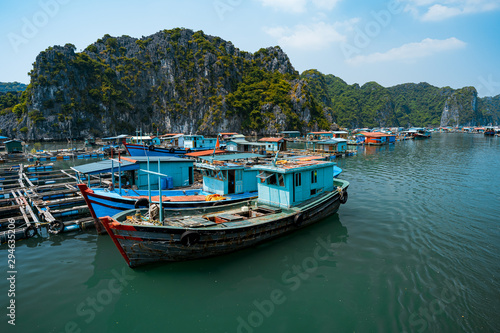 Fishing boat  Halong Bay  Vietnam  Travel Asia