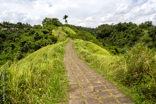 Campuhan Ridge Walk in Ubud in Bali