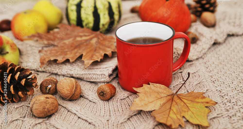 Autumn flat lay background. Pumpkins, apples, nuts,leaves, cups and sweater on wooden background. Autumn flat lay background. Pumpkins, apples, nuts,leaves, cups and sweater on wooden background.