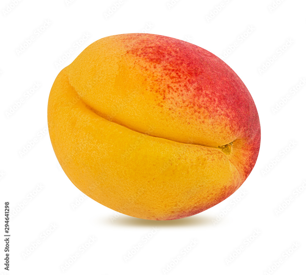 Apricot isolated on white background with clipping path