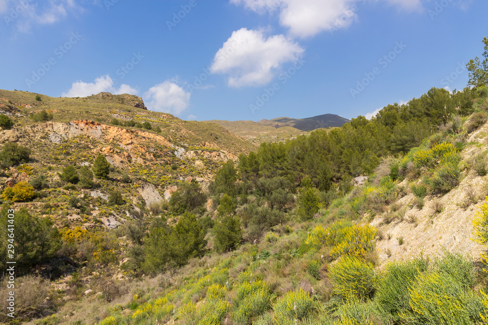 Fototapeta premium landscape of the Rambla de Hirmes area in Beninar (Spain)