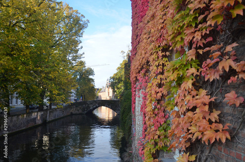 Autumn in Bruges  Belgium. Bruges  the capital of West Flanders in northwest Belgium  is distinguished by its canals  cobbled streets and medieval buildings.