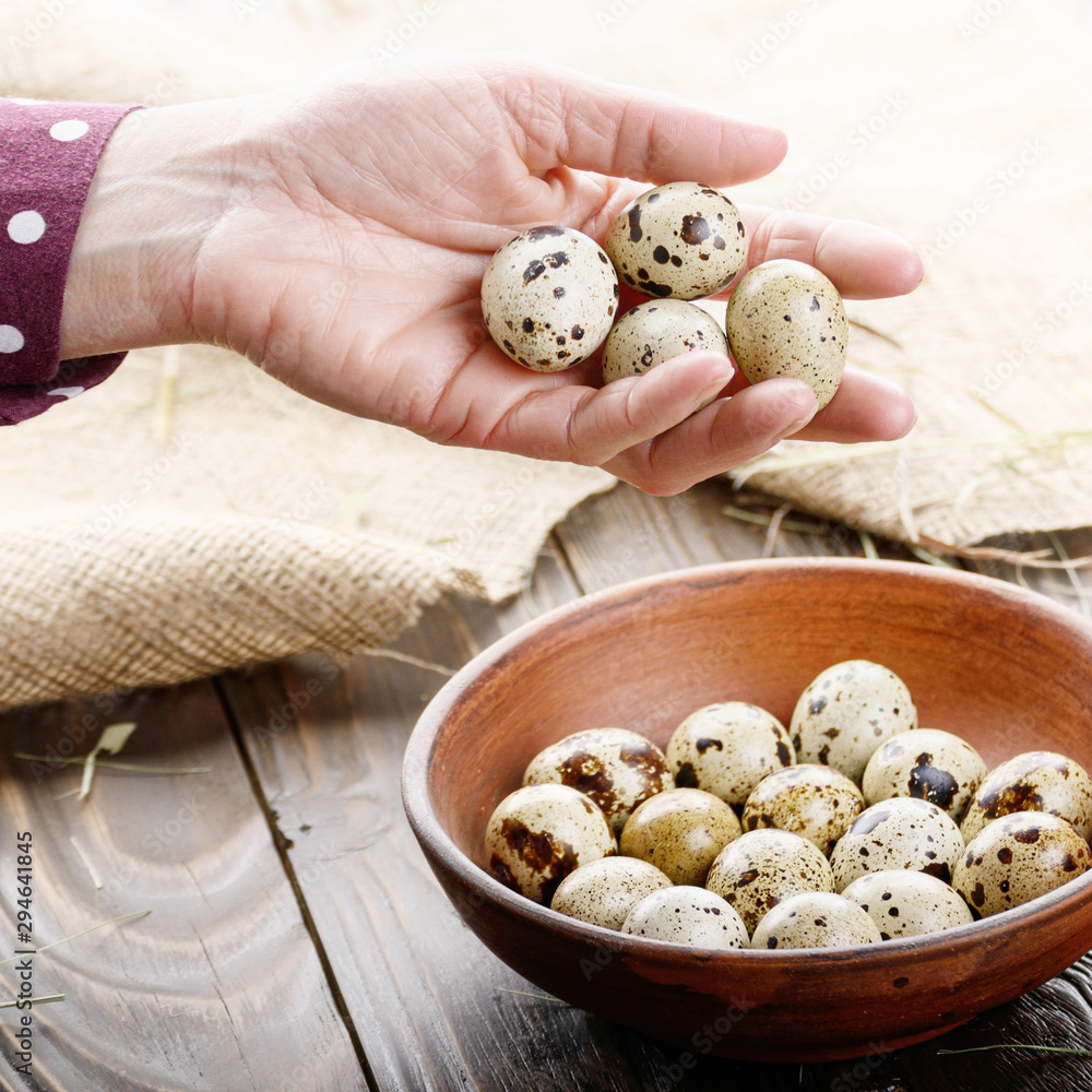 Fresh organic quail eggs in woman hands over wooden rustic kitchen table. Space for text Fresh organic quail eggs in woman hands over wooden rustic kitchen table. Space for text