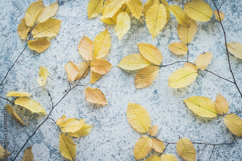 Bright yellow autumn leaves on grey background