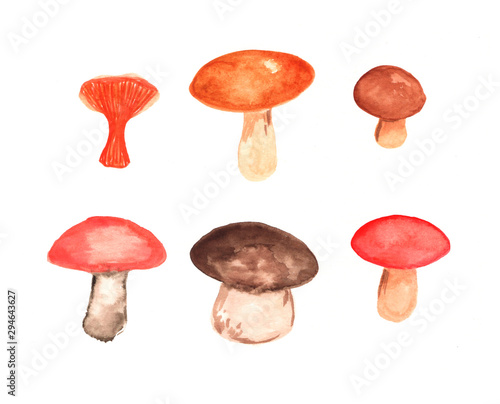 Forest mushroom. Hand painted image on white background. Watercolor painting. Nature detail. Design element for cards, scrapbook, stickers. photo