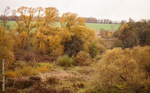 beautiful autumn landscape with small winding river