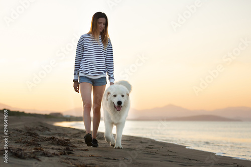 Beautiful girl and happy maremmano abruzzese dog on the beach. Young woman and Big fluffy white dog at sunset in summer