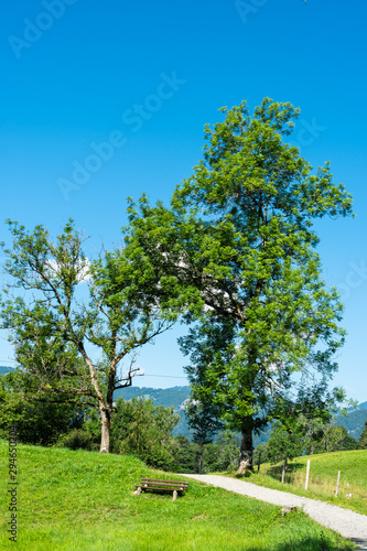 Eschen bei Oberstdorf photo