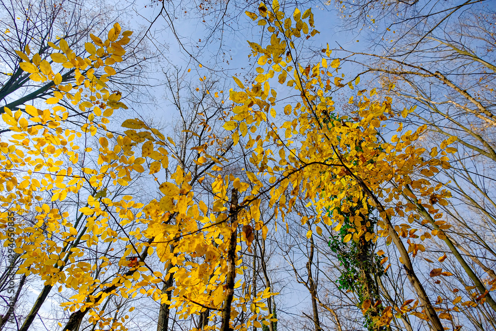Wonderful autumn. Beautiful photos taken in the fall. Wonderful autumn. Beautiful photos taken in the fall.