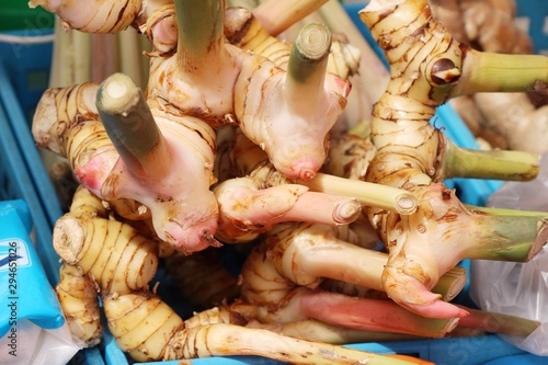 Fresh galangal for cooking in the market