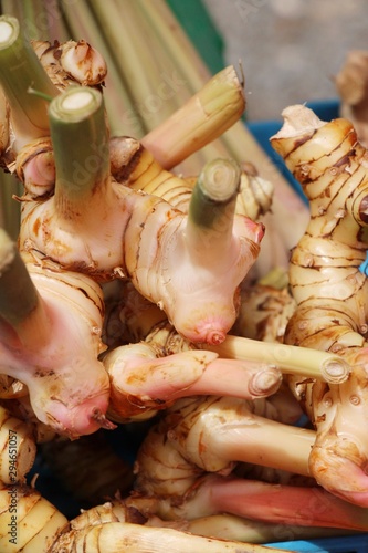 Fresh galangal for cooking in the market