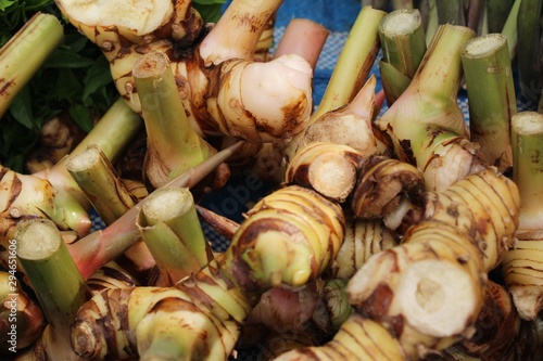 Fresh galangal for cooking in the market