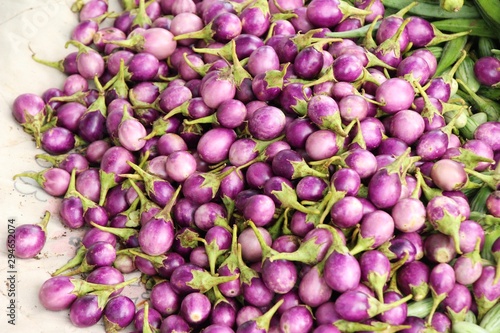 Fresh eggplant purple organic at street food