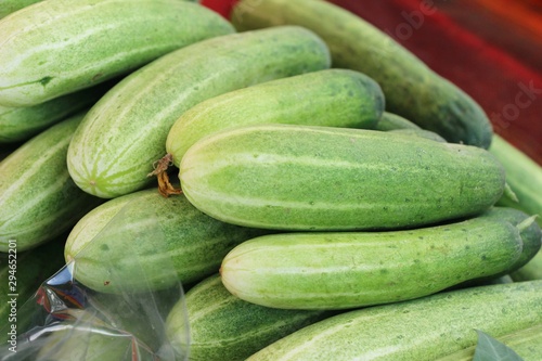 Fresh cucumbers for cooking in the market