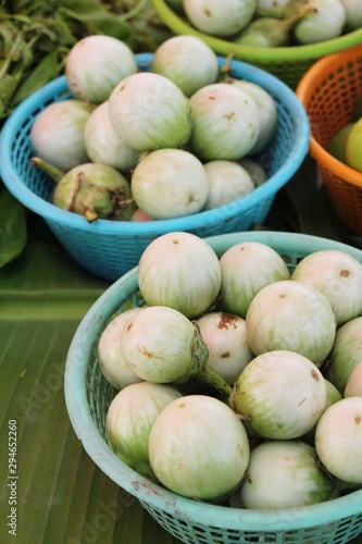Fresh eggplant green organic at street food