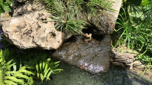 Beautiful artificial waterfall in the garden