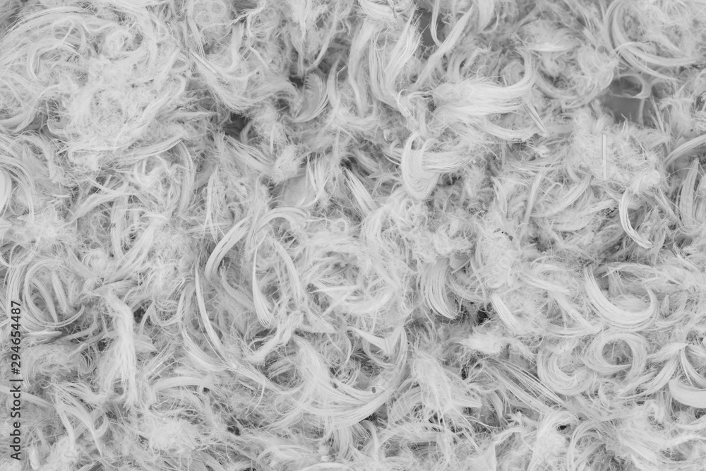 Obraz premium White goose feathers and fluff from pillows texture