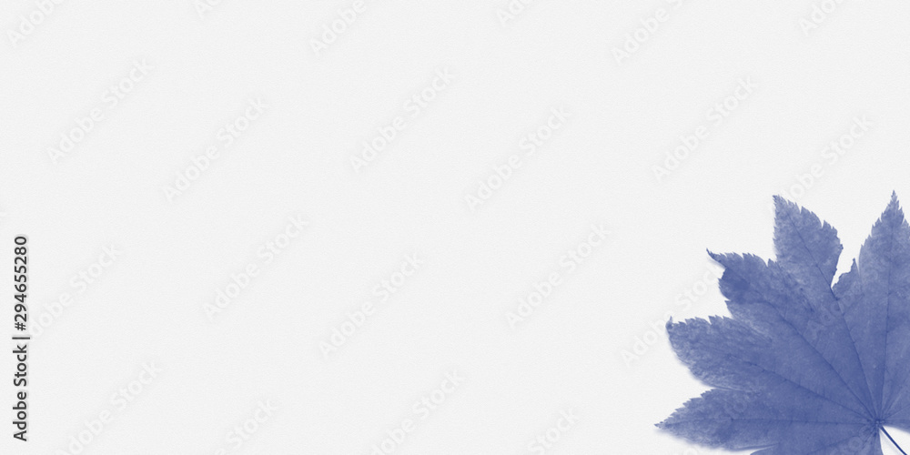 Obraz premium Leaf frame design for inserting text