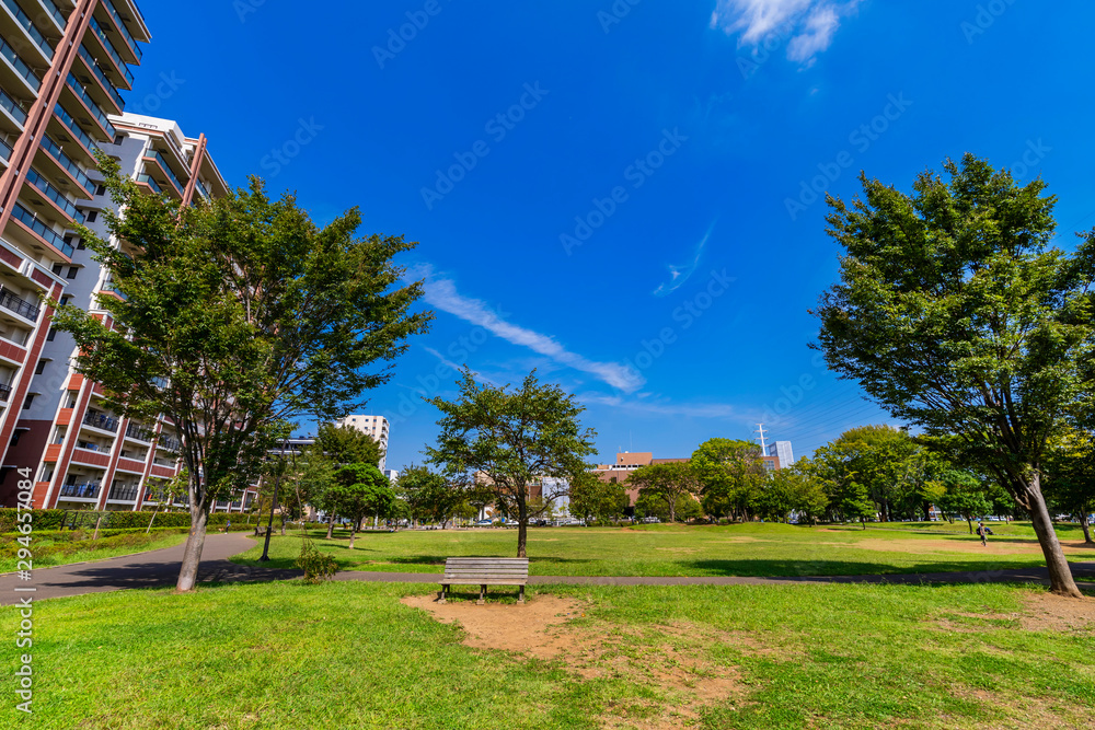 Obraz premium 流山おおたかの森 西初石近隣公園の風景