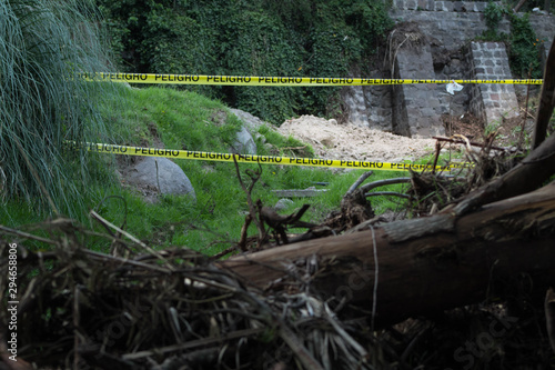 police lines in forest 