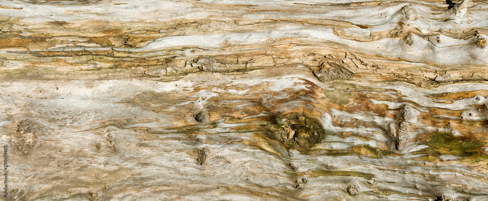 image of old wood texture closeup image of old wood texture closeup