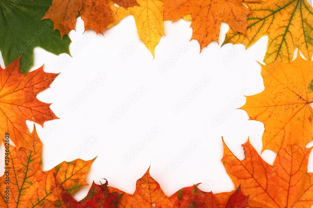 Yellow, green, red leaves of trees. Yellow, green, red leaves of trees.