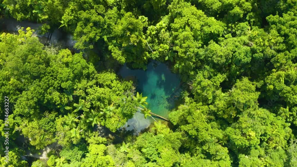 Aerial, a hidden paradise lake in the middle of rain forest in Queensland, Australia Aerial, a hidden paradise lake in the middle of rain forest in Queensland, Australia