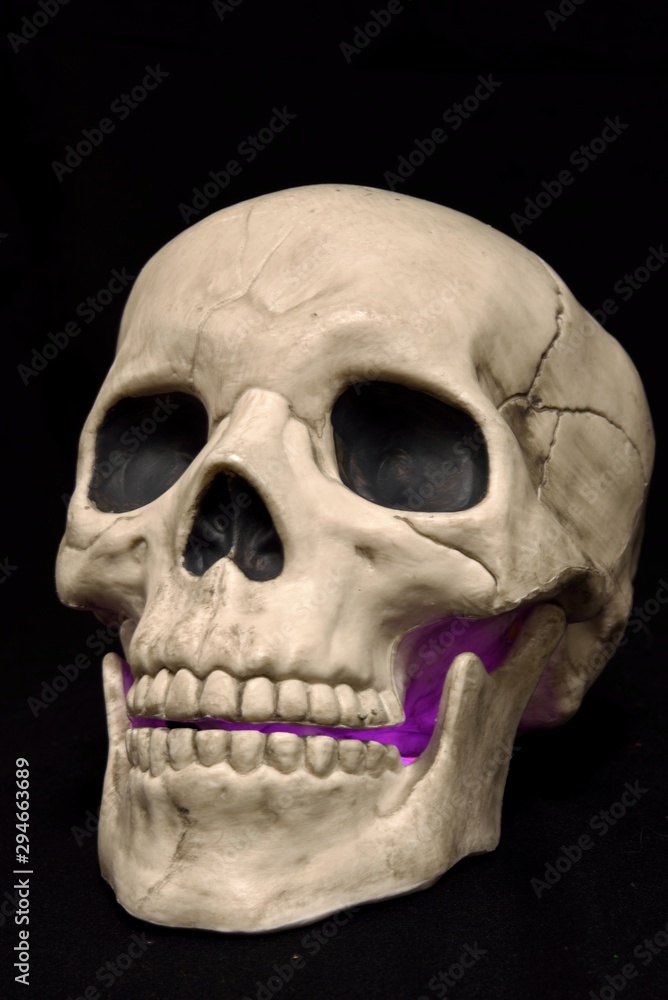 Frightening skull glowing through the jaw with a purple light. Frightening skull glowing through the jaw with a purple light.