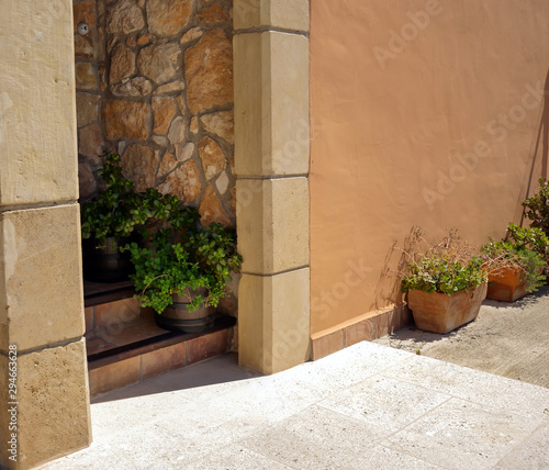 Stairs at the doorstep of the house decorated with decorative plants in pots © OlgaVELES