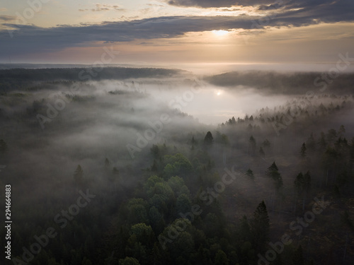 The sun rises over a lake in the forest. The forest is filled with thick, atmospheric fog.